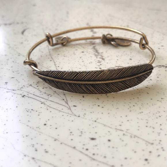 Alex and Ani feather bangle bracelet in gold - Picture 1 of 8